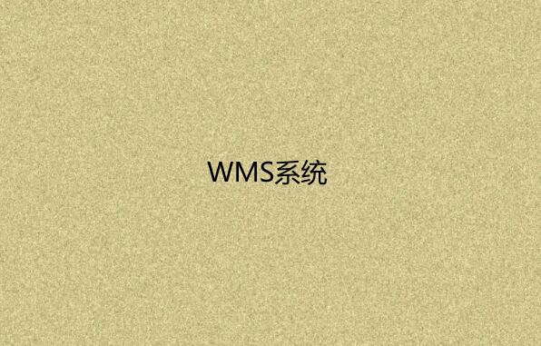 WMS系統(tǒng)如何幫助企業(yè)節(jié)約成本？